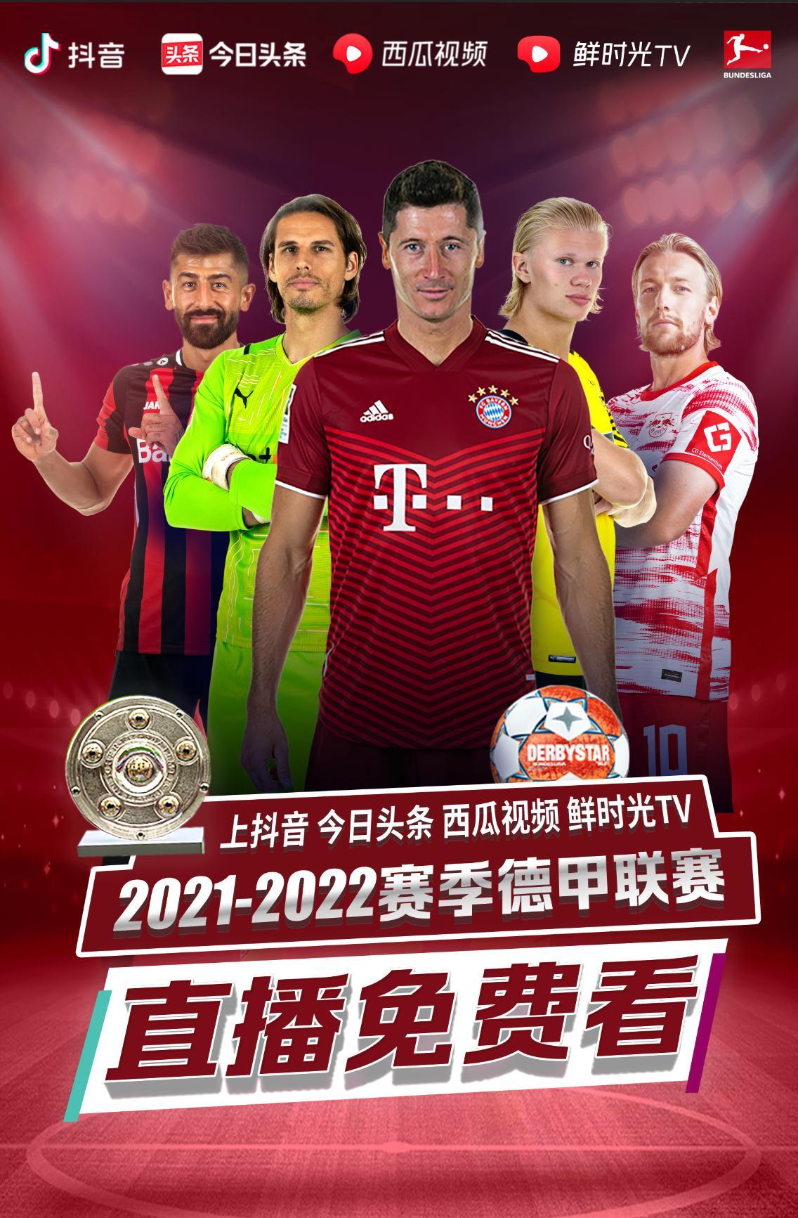 新的