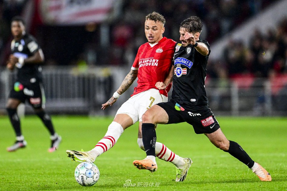 如林的格局 如林的格局