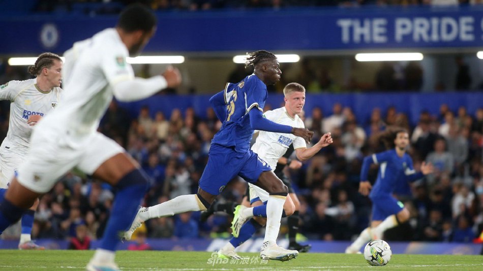 的优化标签 的优化标签